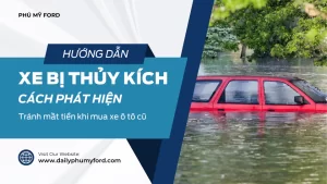 Cách phát hiện xe ô tô ngập nước bị thủy kích